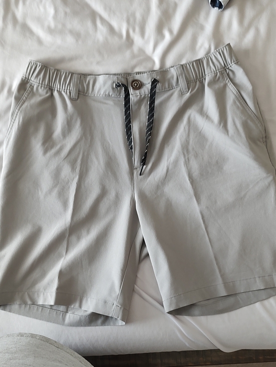 chubbies Other - chubbies Men's Large Gray Shorts
